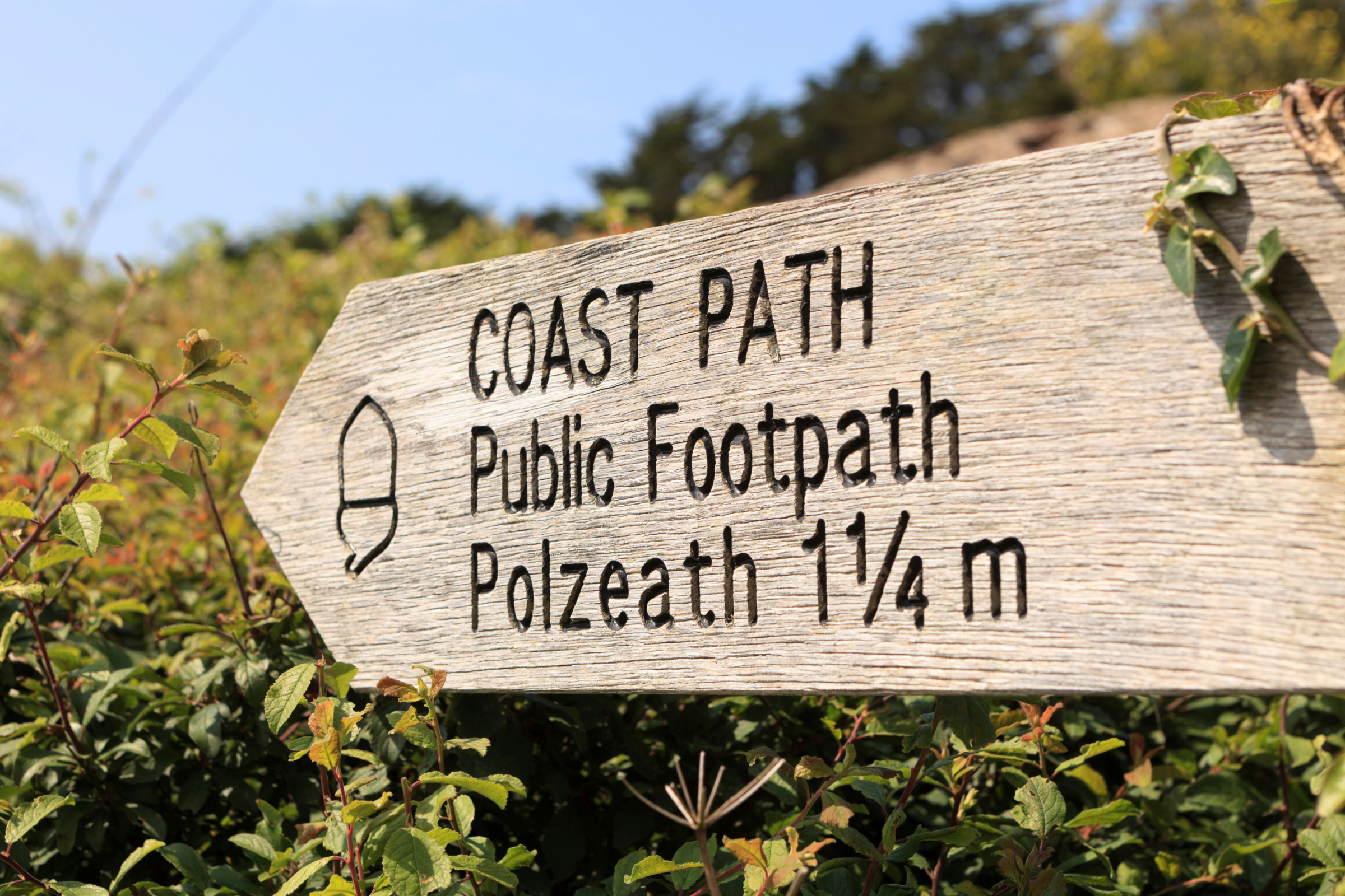 22_Polzeath[1].webp